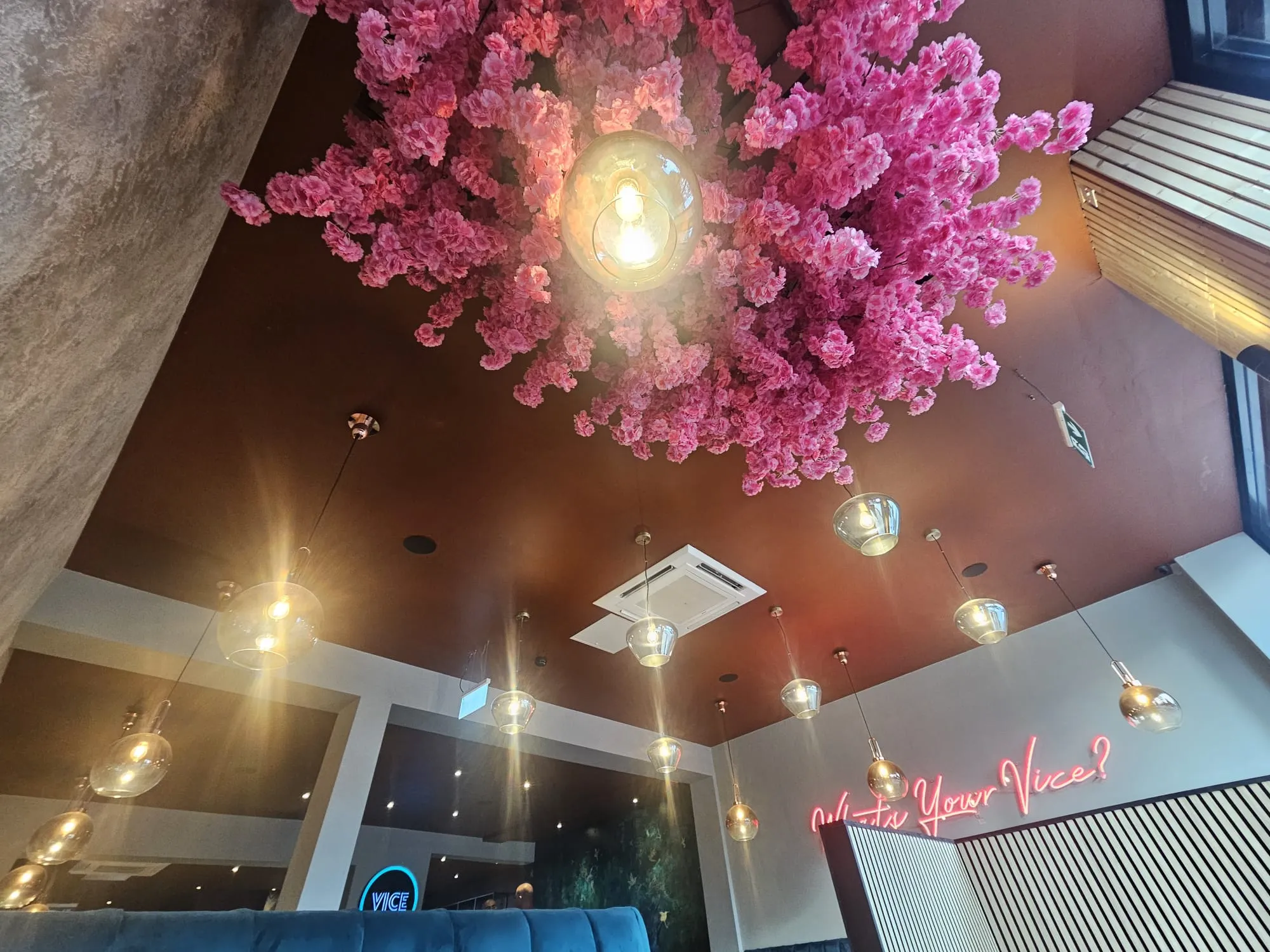 Vice Tree Bar & Grill, Manchester From Retail Unit to Contemporary Restaurant2